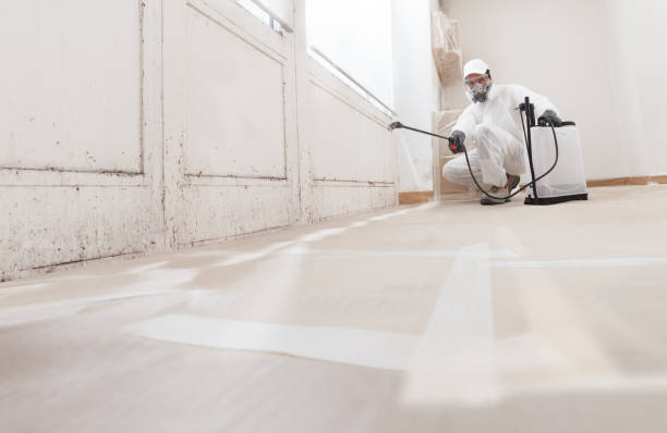 24/7 Emergency Black Mold Removal experts in Denton, NC