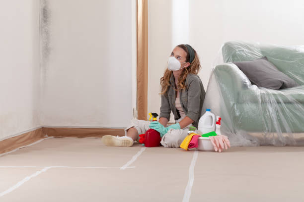 Reliable Mold Cleanup contractor in Denton, NC by Cheap Mold Removal
