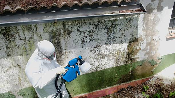 Top rated local Mold Cleanup specialists in Denton, NC